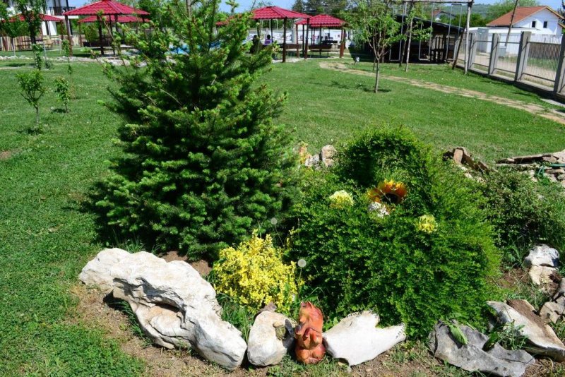 Къща за Гости Миша - Снимка 8