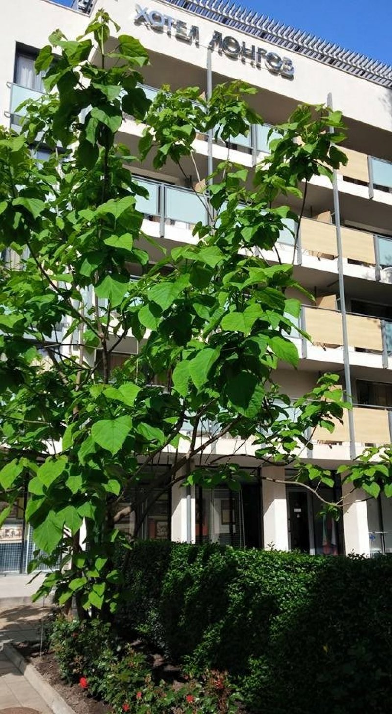 Хотелски Комплекс ЛОНГОЗ - Снимка 9