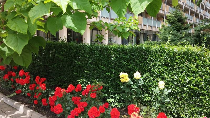 Хотелски Комплекс ЛОНГОЗ - Снимка 8