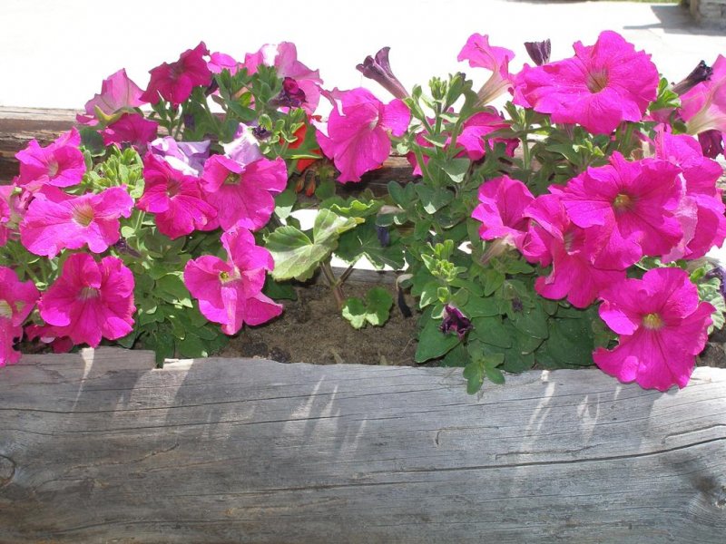 Комплекс Лещенски перли - Снимка 1