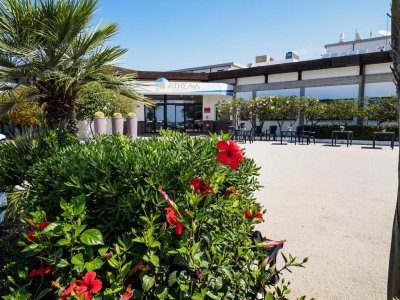 Athena Resort - Снимка 6