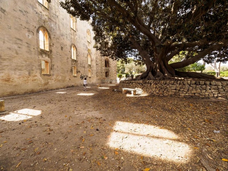 Athena Resort - Снимка 9