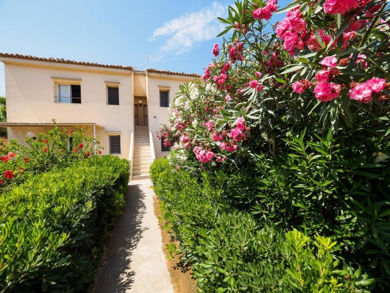 Athena Resort - Снимка 9