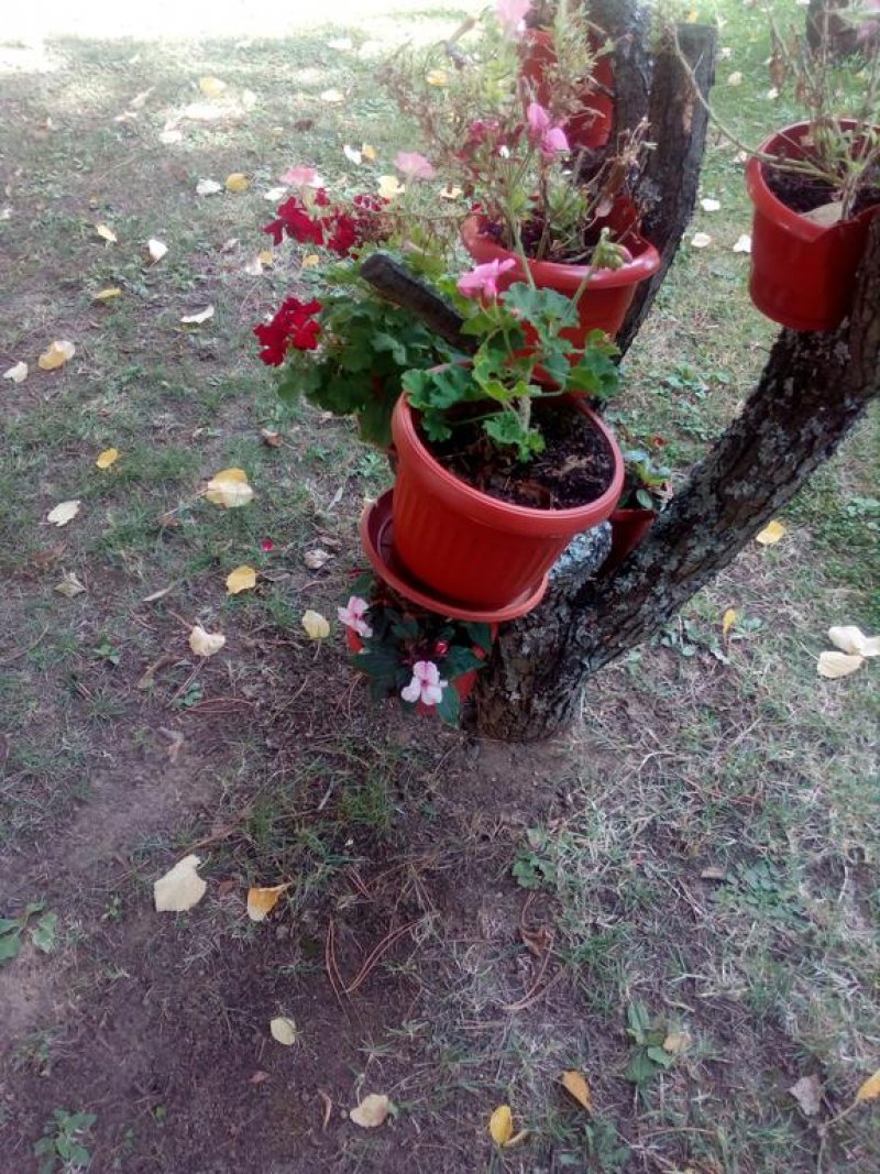 Балнеохотел Роза - Снимка 3