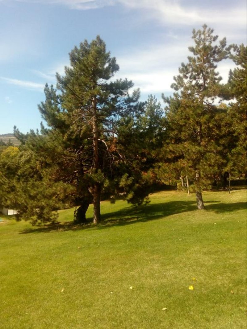 Балнеохотел Роза - Снимка 11