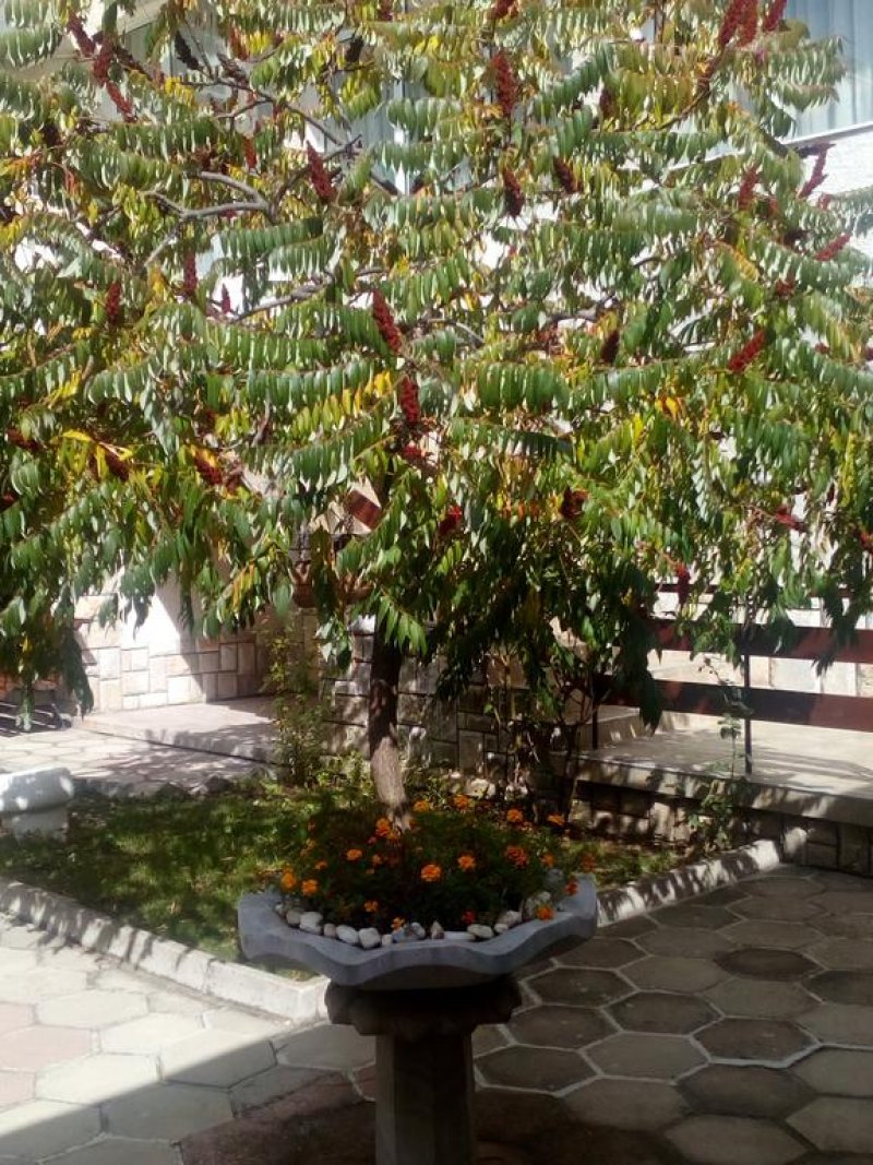 Балнеохотел Роза - Снимка 10