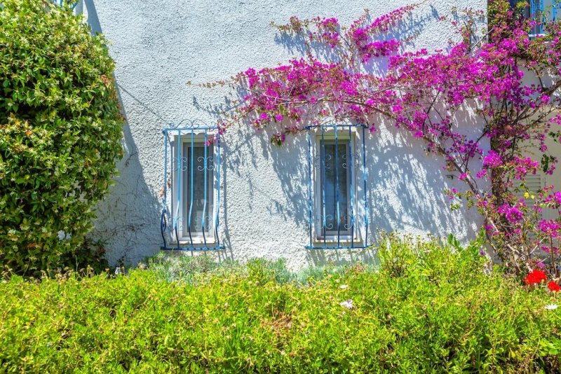 Xenios Faros Apartments - Снимка 3