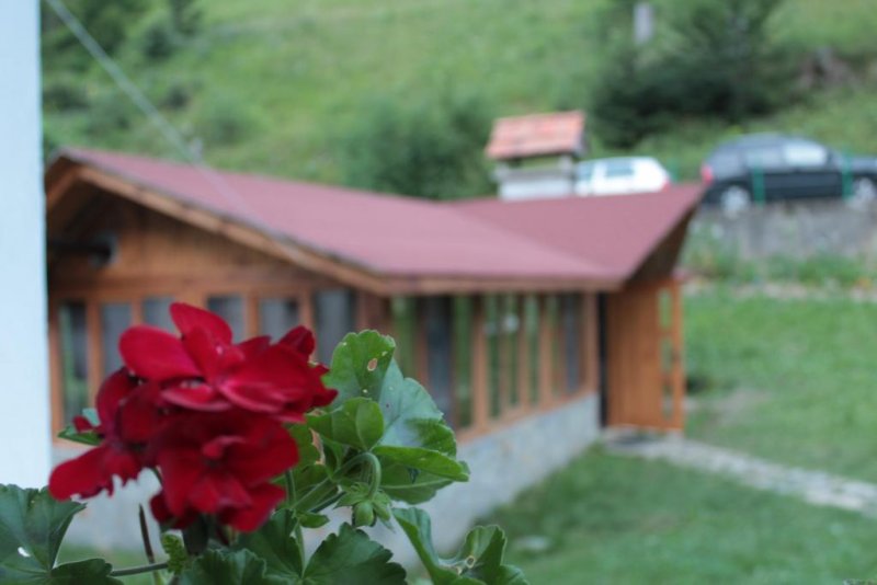 Къща за гости Бащината къща - Снимка 4