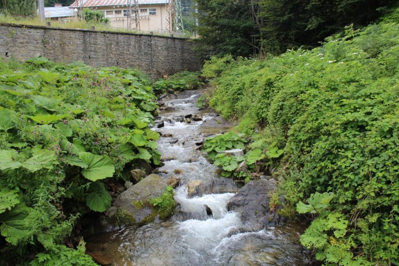 Къща за гости Бащината къща - Снимка 8