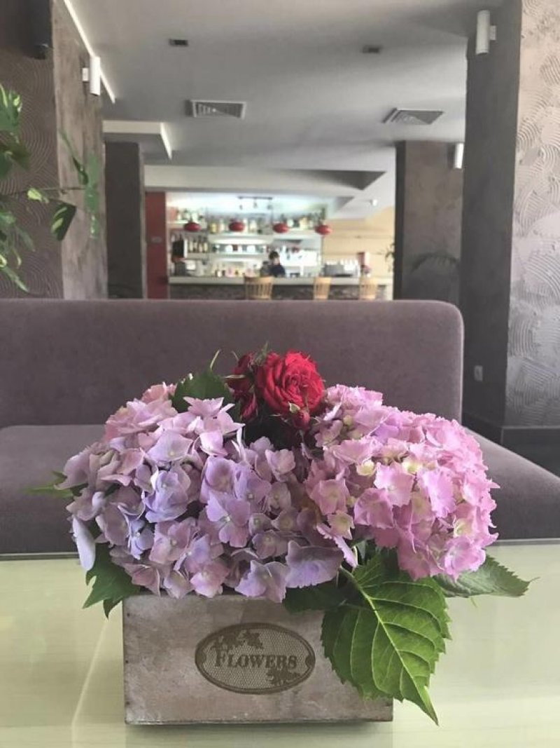 Хотел Олимп - Снимка 9