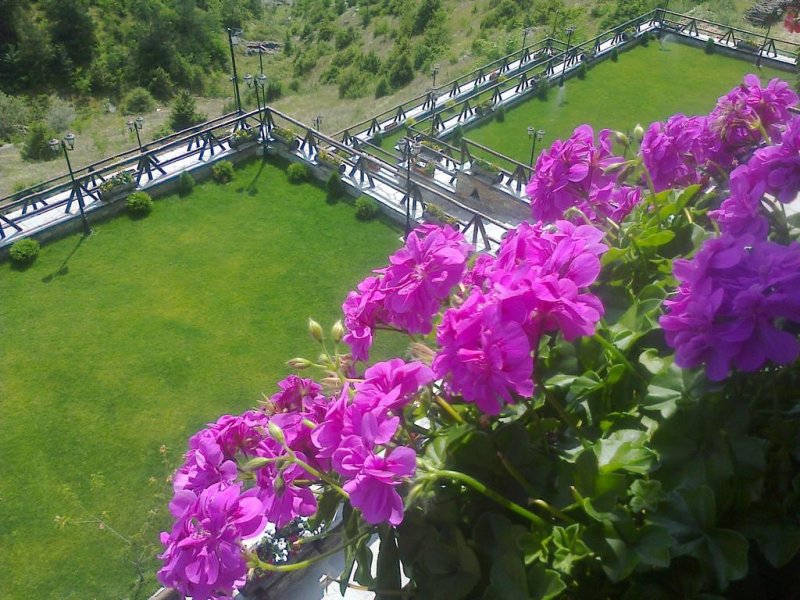 Къщи за гости Лещенски рай - Снимка 3