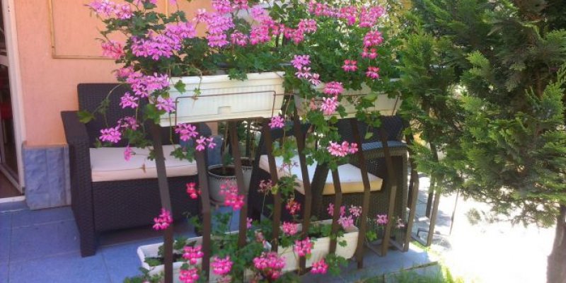 Семеен хотел Иви - Снимка 2