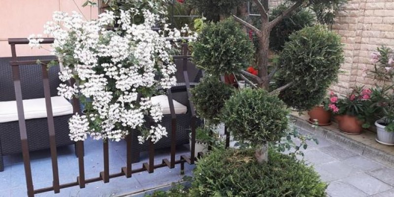 Семеен хотел Иви - Снимка 1