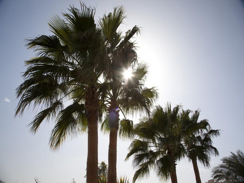 Hurghada Coral Beach Hotel - Снимка 4