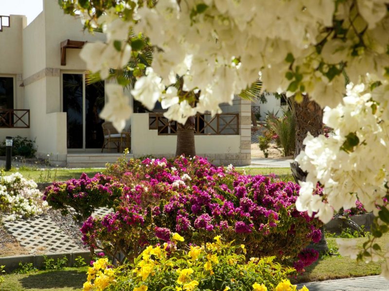 Hurghada Coral Beach Hotel - Снимка 11