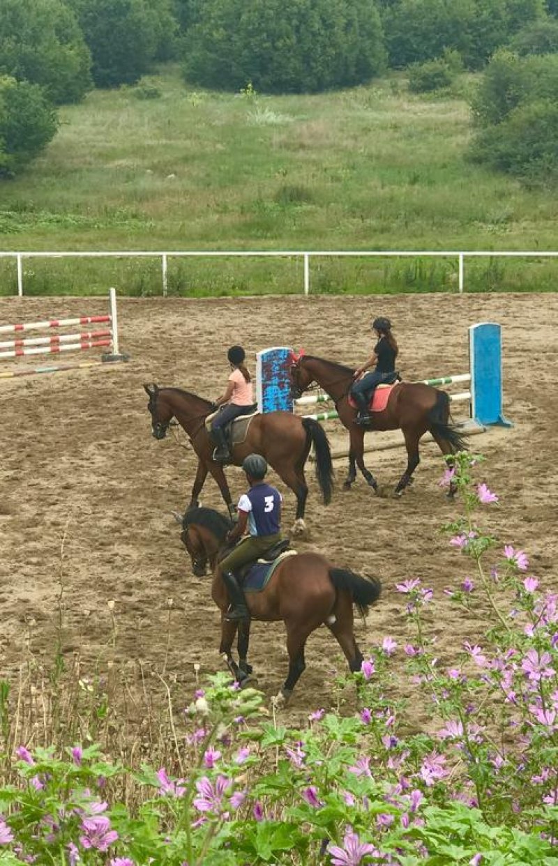 Парк Хотел Raya Garden - Снимка 7