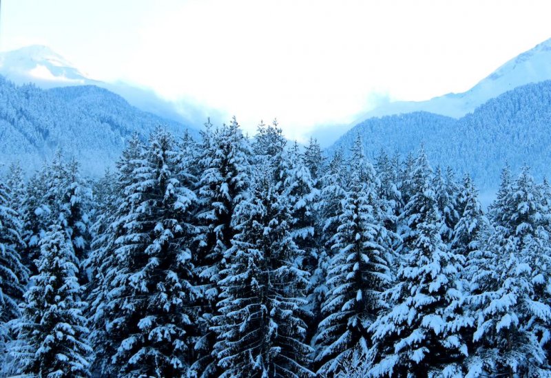 Апартхотел Сейнт Джордж Палас - Снимка 5