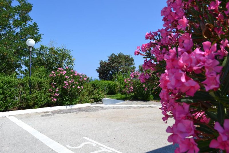 Aiolos Hotel - Снимка 9