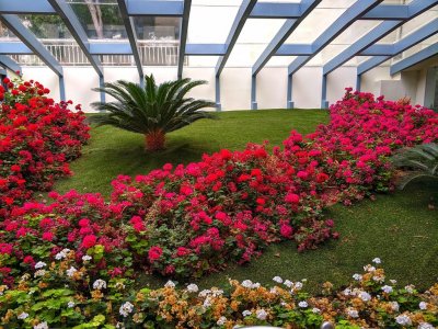 Aegean Blue Beach Hotel - Снимка 8