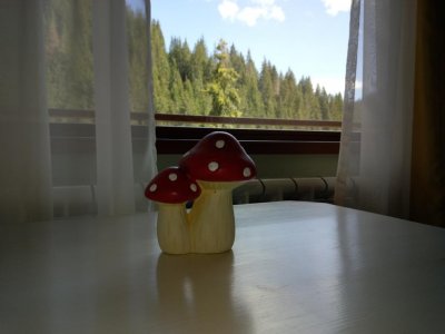 Къщата на Влъхвите - Снимка 7