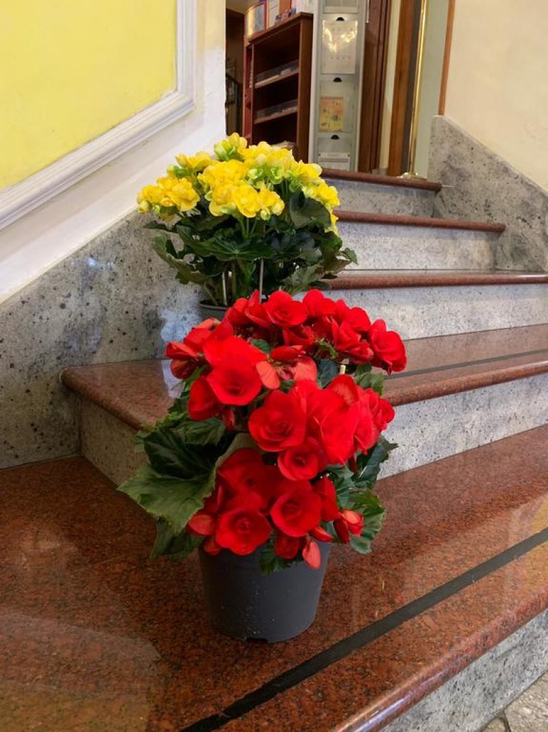 Hotel Stromboli - Снимка 7