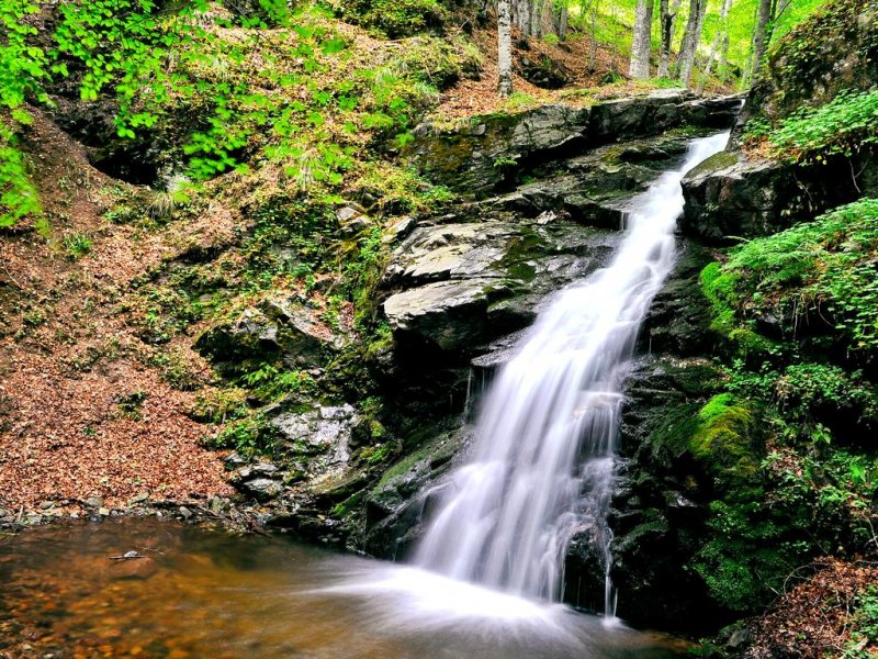 Aurora Resort & Spa - Снимка 11