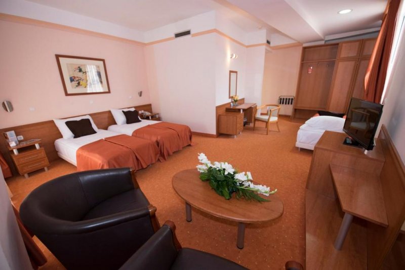 Hotel Drim - Снимка 10