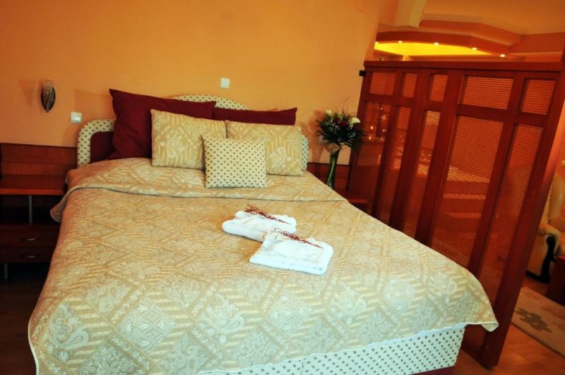 Hotel Drim - Снимка 4