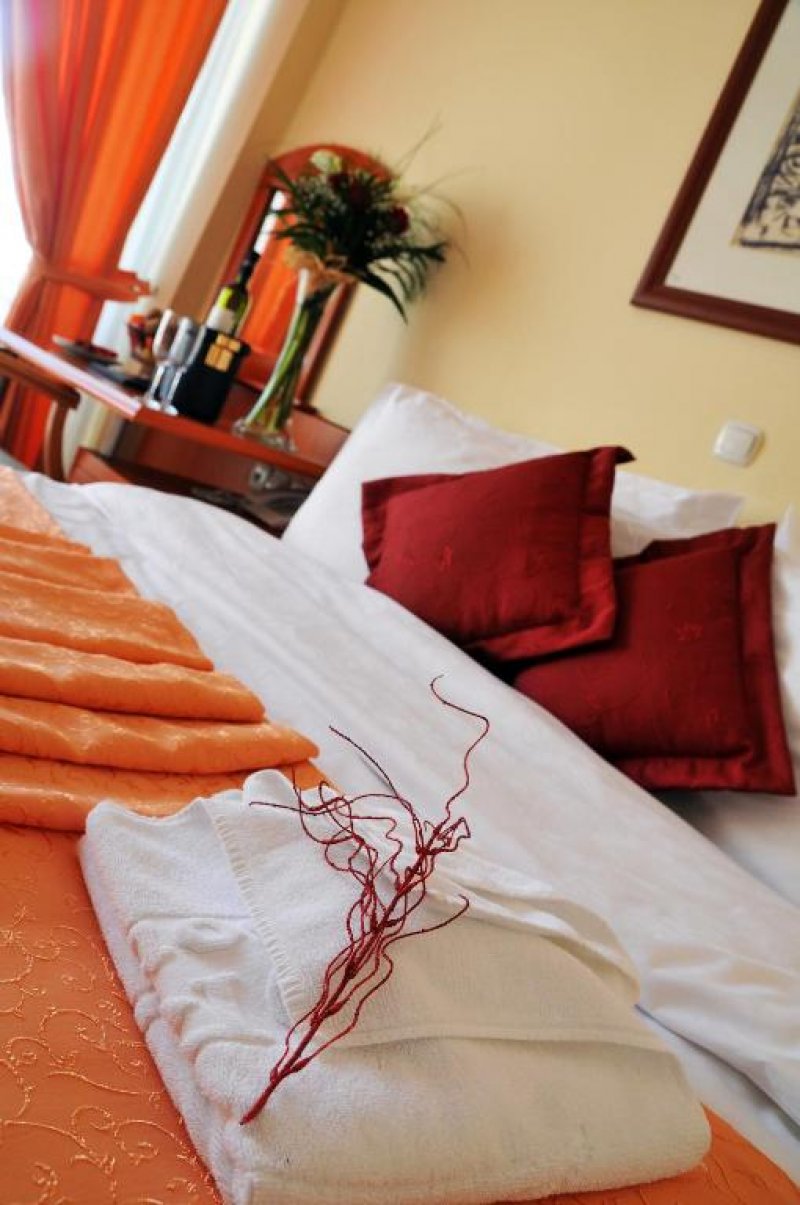 Hotel Drim - Снимка 3