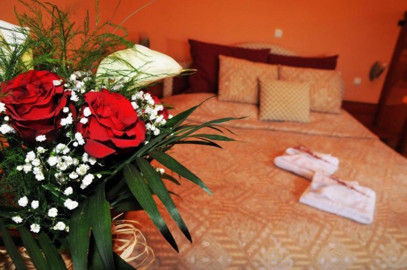 Hotel Drim - Снимка 2