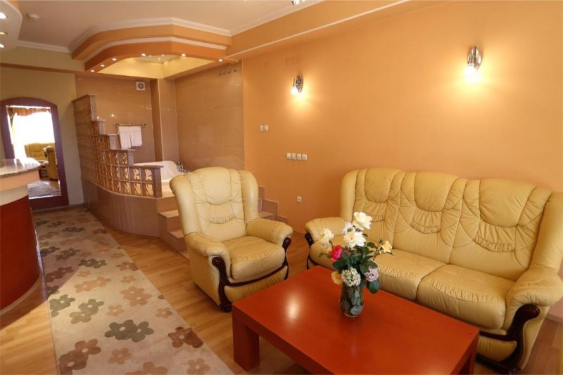 Hotel Drim - Снимка 3