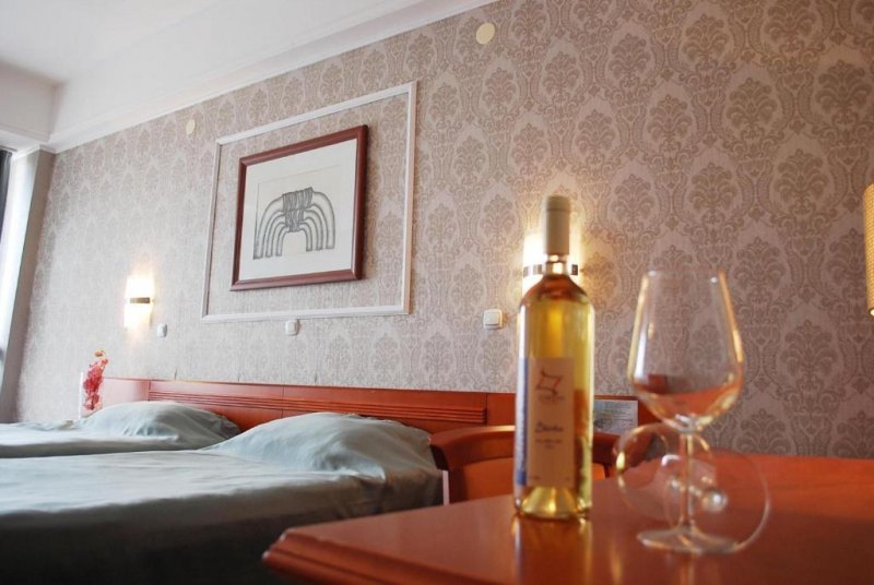 Hotel Drim - Снимка 7