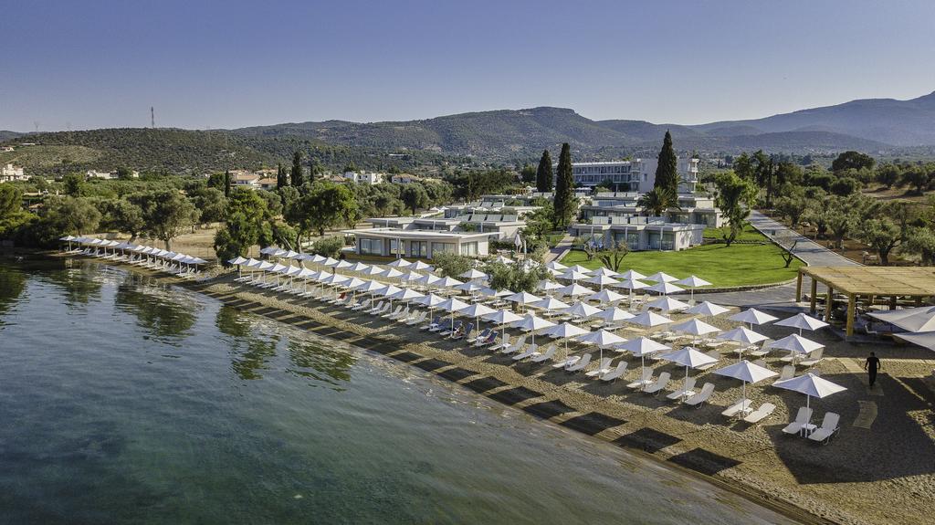 Ранни записвания: 5 нощувки със закуски и вечери в Amaronda Resort & Spa 4*, о.Евия, Гърция през Юни! - Снимка 