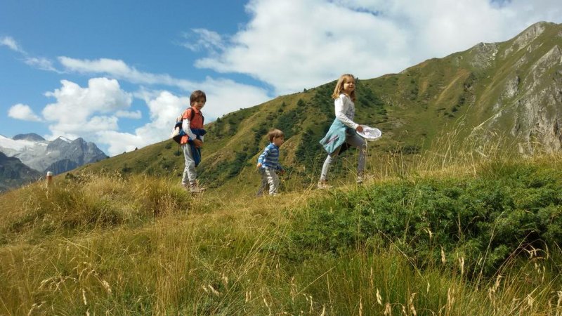 Hotel Adamello - Снимка 8