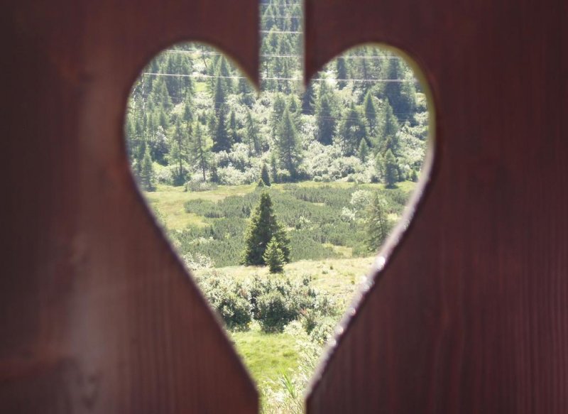 Hotel Adamello - Снимка 10