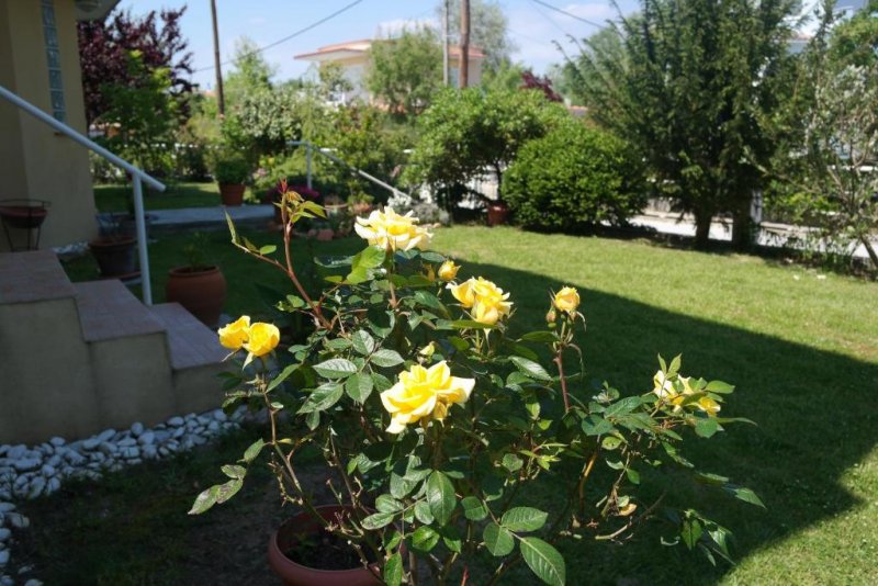 Apartments Thomoglou - Снимка 10