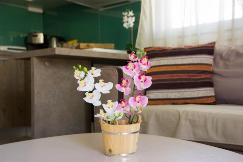 My Erofili - Снимка 3