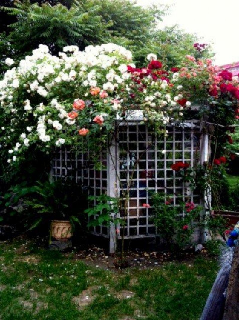 Семеен хотел Албена - Снимка 9