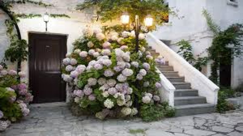 Mariva Bungalows - Снимка 10