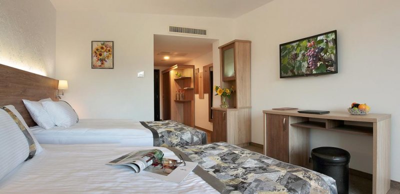 Комплекс за винен и СПА туризъм Старосел - Снимка 2