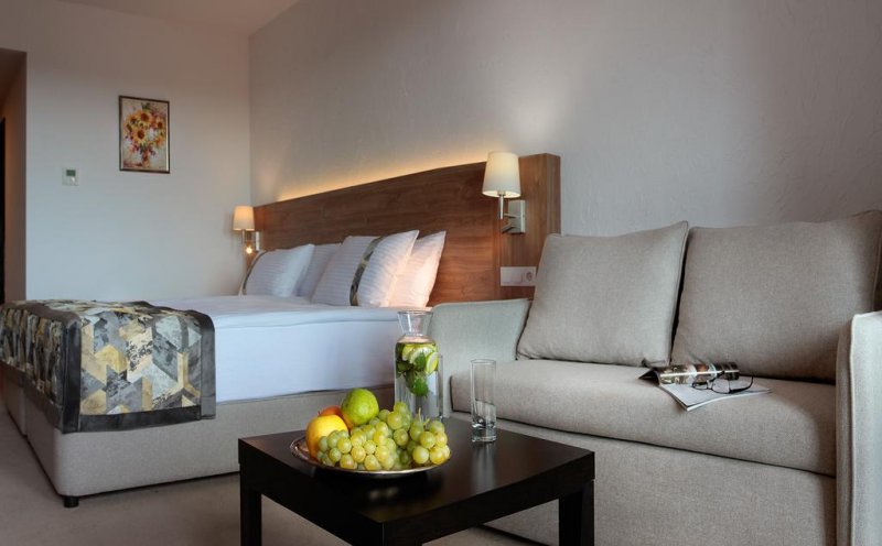 Комплекс за винен и СПА туризъм Старосел - Снимка 3