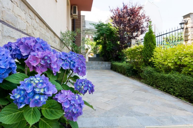 Хотел Сиена Хаус - Снимка 11