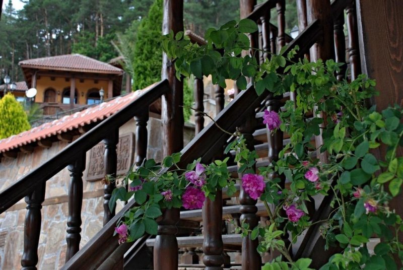 Спа Комплекс Карина - Снимка 4