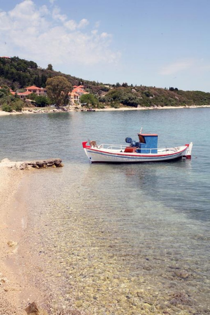 Summertime Inn - Снимка 4