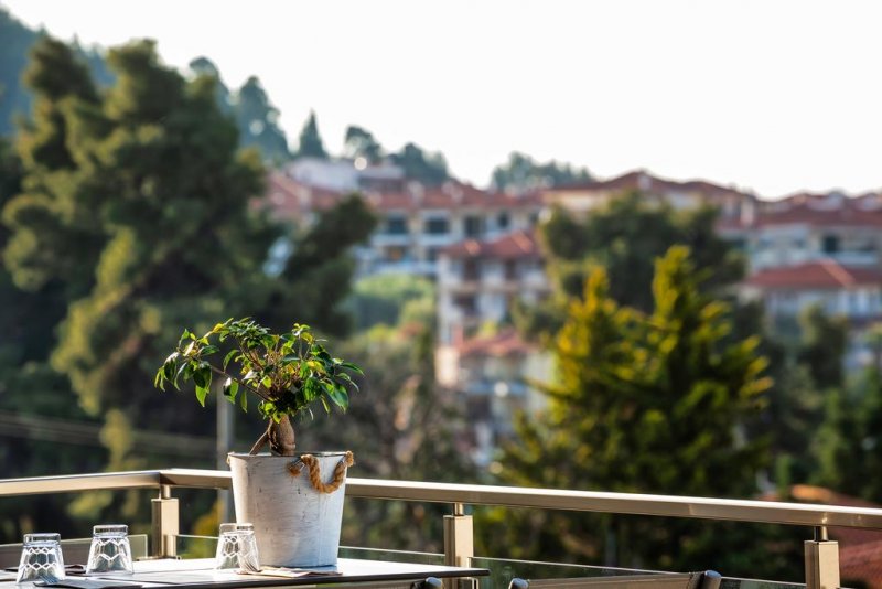 Kriopigi Hotel - Снимка 5