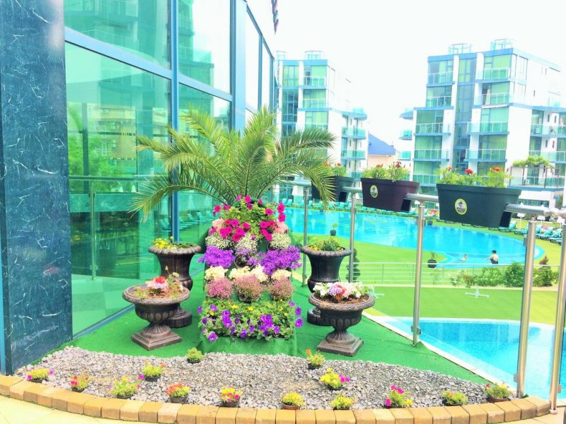 Хотел Приморско Дел Сол - Снимка 4