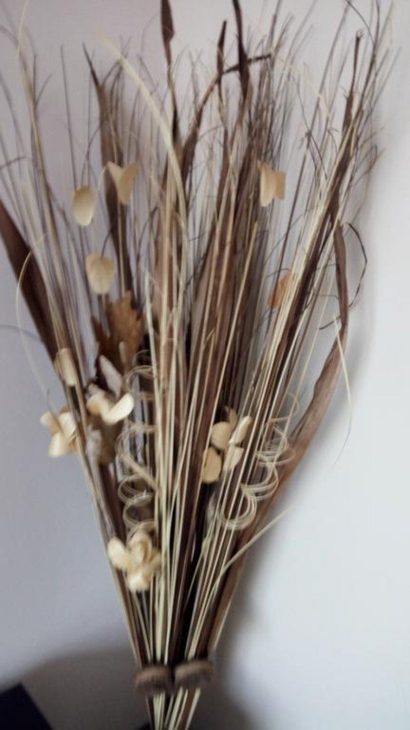 Хотел Айнщайн - Снимка 10