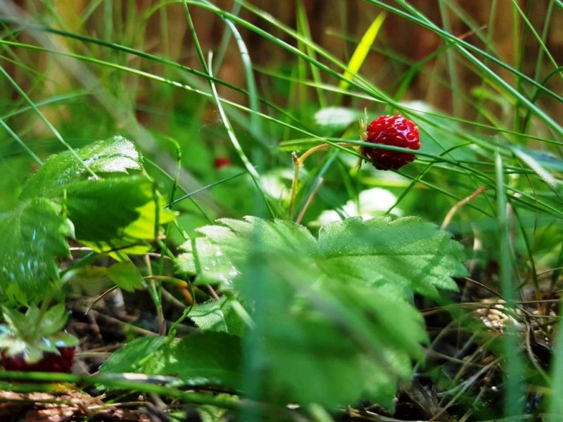 Хотел Каза Карина - Снимка 4