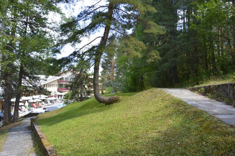 Хотел Велина - Снимка 4