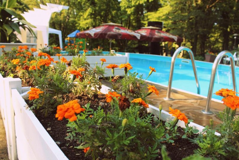 Ариана Хотел - Снимка 9